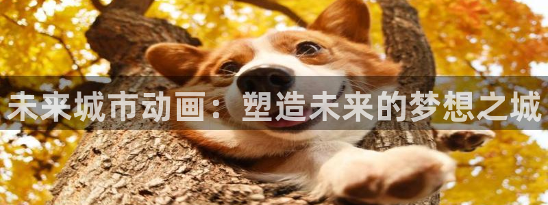 樱花动漫免费在线观看：未来城市动画：塑造未来的梦想之城